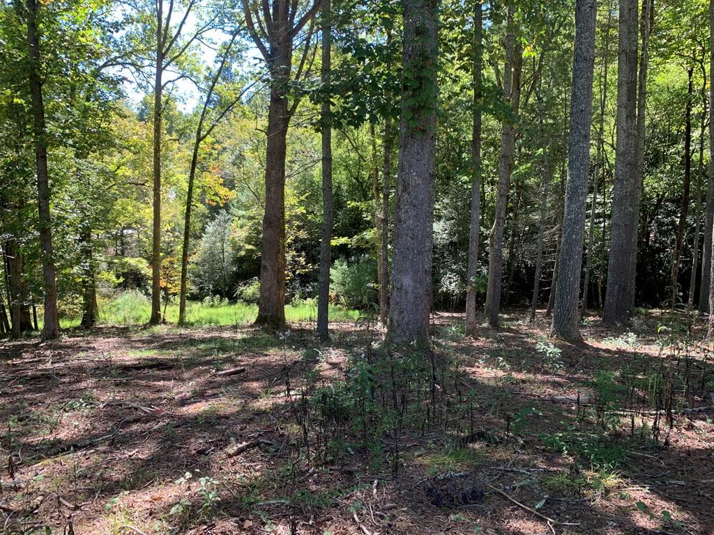Lot 173 Highland Park, Blairsville GA 30512 - Photo