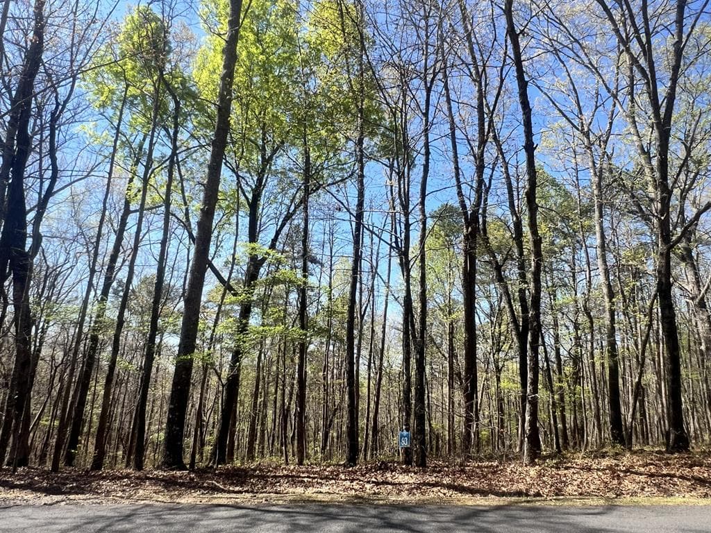 Lot 93 Doll Mountain Road, Ellijay GA 30540 - Primary photo