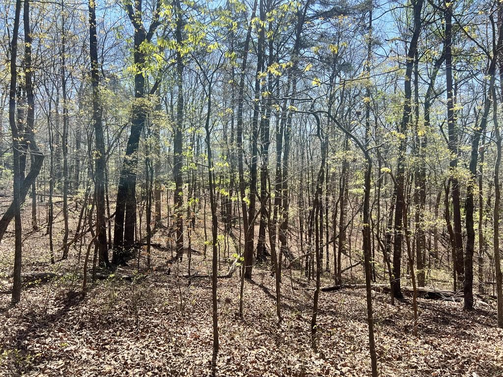 Lot 93 Doll Mountain Road, Ellijay GA 30540 - Photo