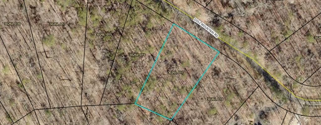 Lot 93 Doll Mountain Road, Ellijay GA 30540 - Photo