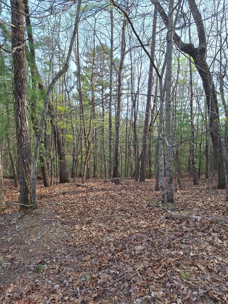 LOT 22 Mull Lane Cir, Lt 22, Morganton GA 30560 - Photo