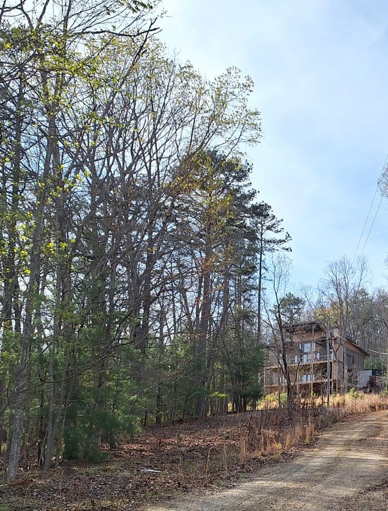 LOT 22 Mull Lane Cir, Lt 22, Morganton GA 30560 - Photo