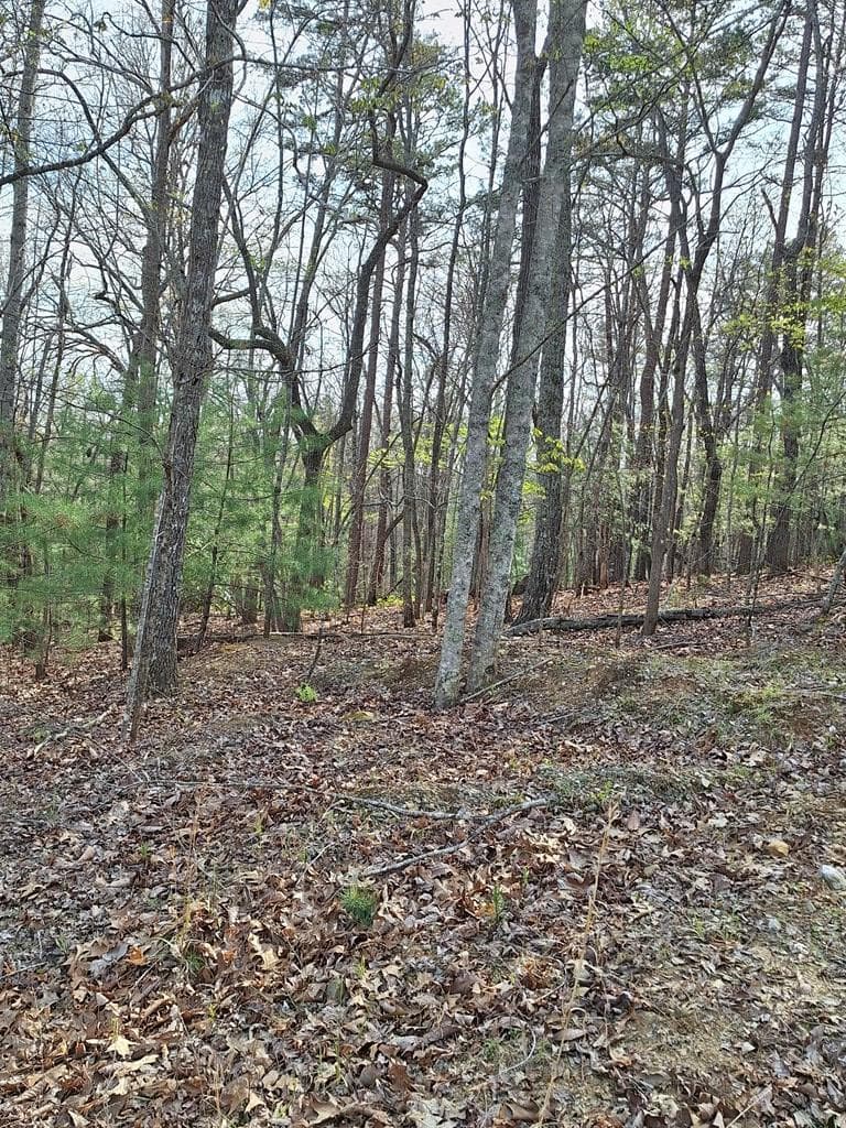 LOT 22 Mull Lane Cir, Lt 22, Morganton GA 30560 - Photo