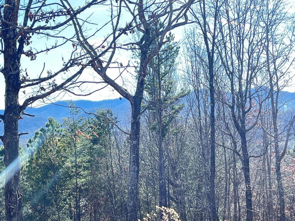 Lot 9 Summit Trace, Blairsville GA 30512 - Photo