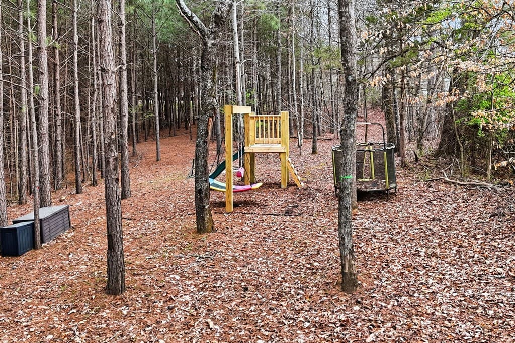 503 London Road, Ball Ground GA 30107 - Photo