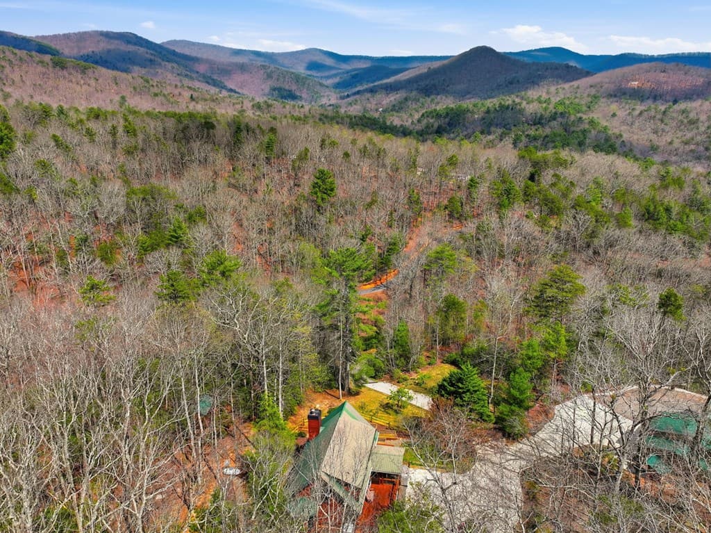 1399 Old Parker Place Road, Ellijay GA 30536 - Photo