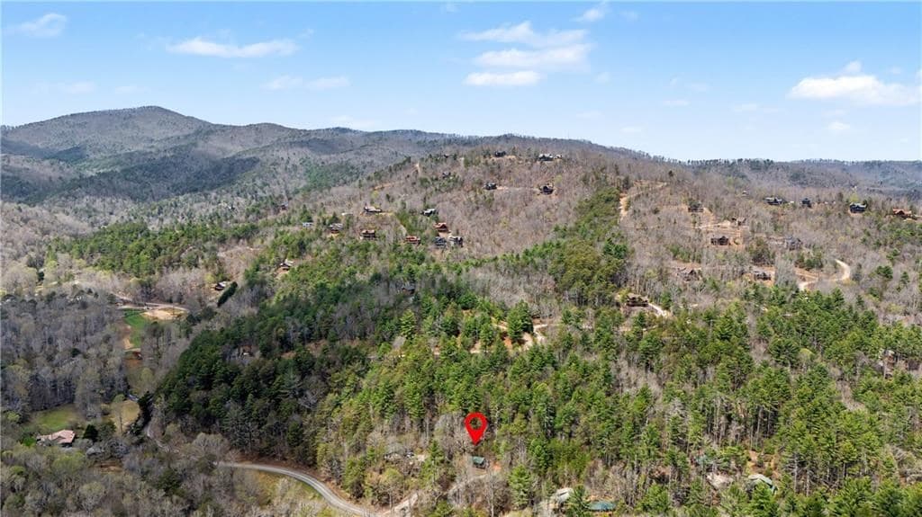 1790 Stanley Creek, Cherry Log GA 30522 - Photo