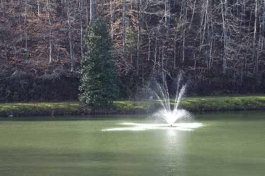 20 Edgewater Drive, Ellijay GA 30540 - Photo
