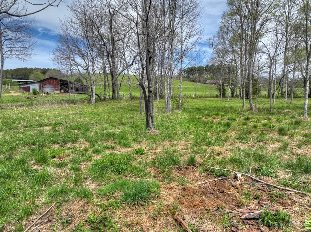 139 Cedar Lane, Blairsville GA 30512 - Photo