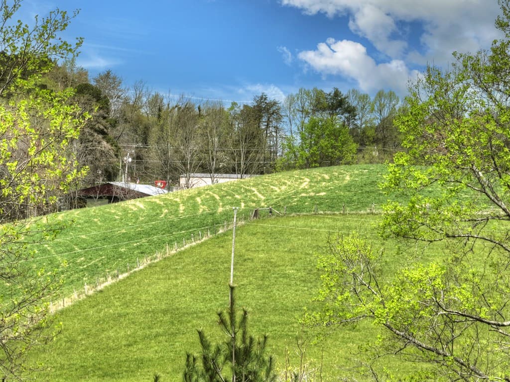 139 Cedar Lane, Blairsville GA 30512 - Photo
