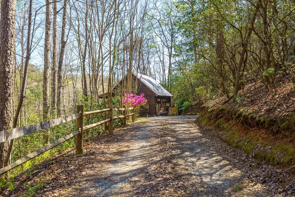942 Granny Branch Drive, Cherry Log GA 30522 - Photo