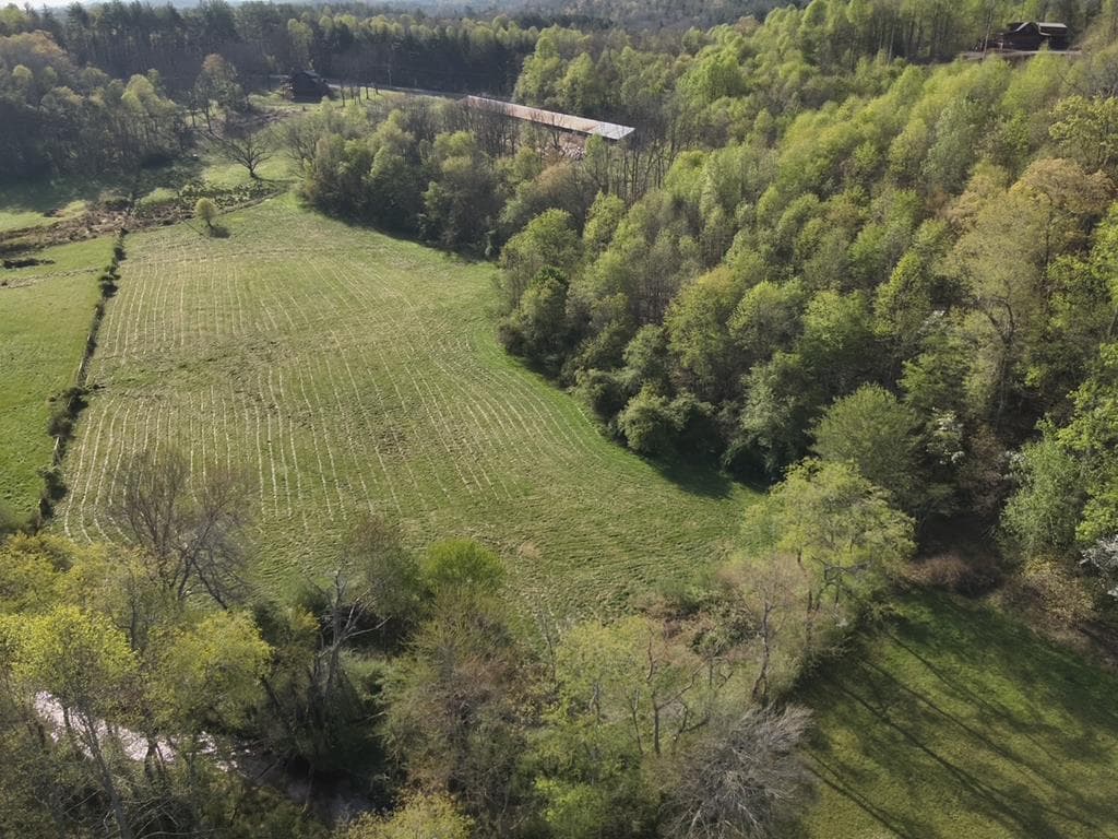 7590-AB Mobile Road, Blue Ridge GA 30513 - Photo