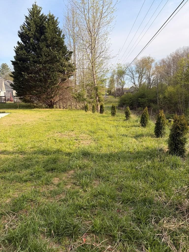 4333 Ada Street, Blue Ridge GA 30513 - Photo