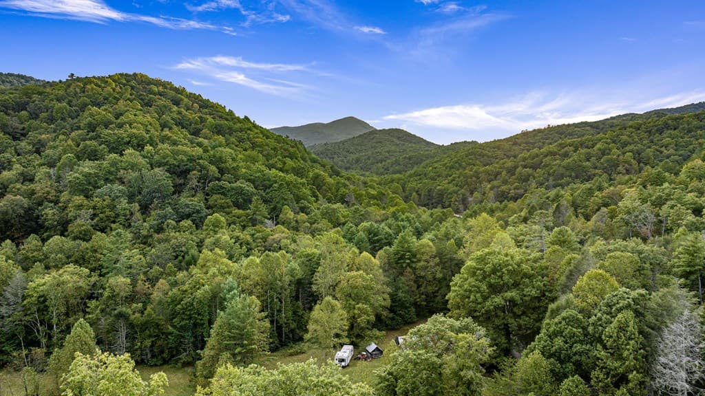 125 Stanley Creek Overlook, Cherry Log GA 30522 - Photo
