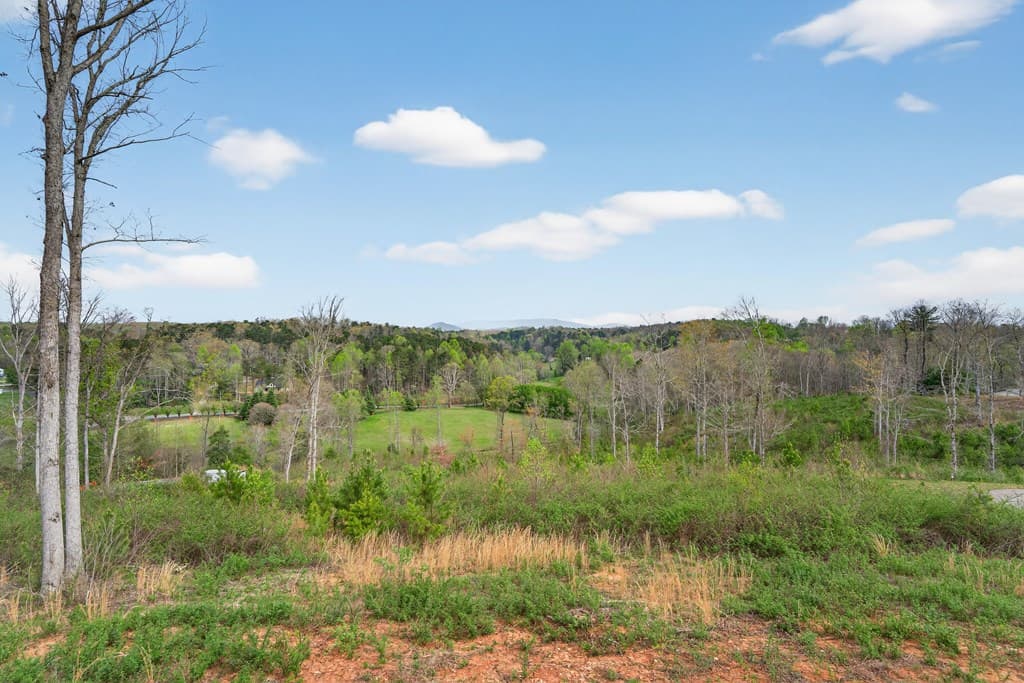 251 Mystic Drive, Ellijay GA 30540 - Photo