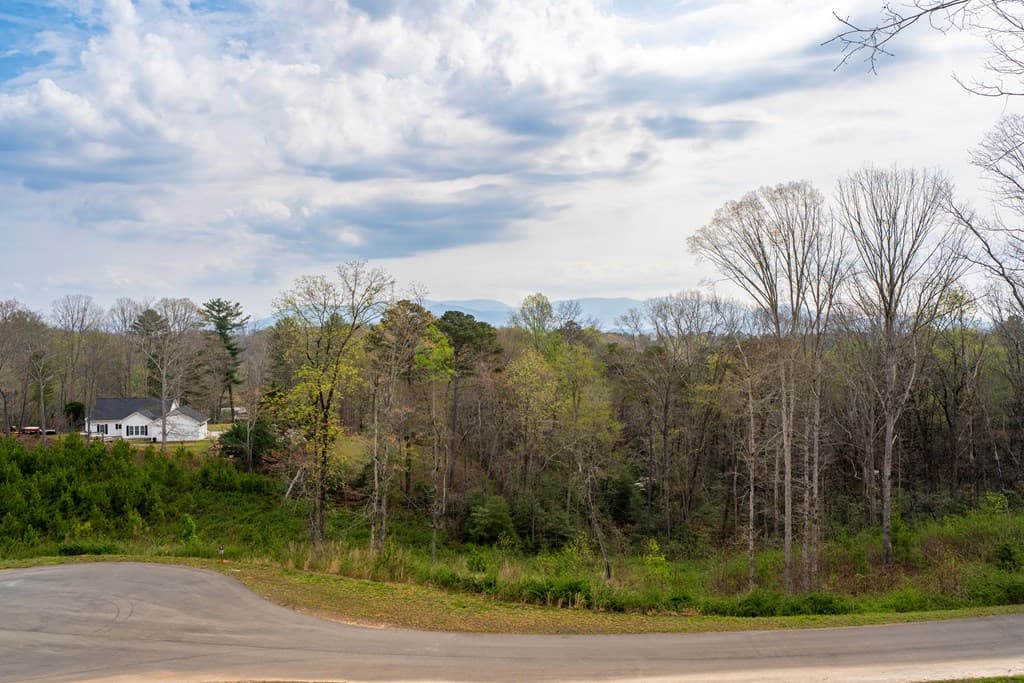 251 Mystic Drive, Ellijay GA 30540 - Photo