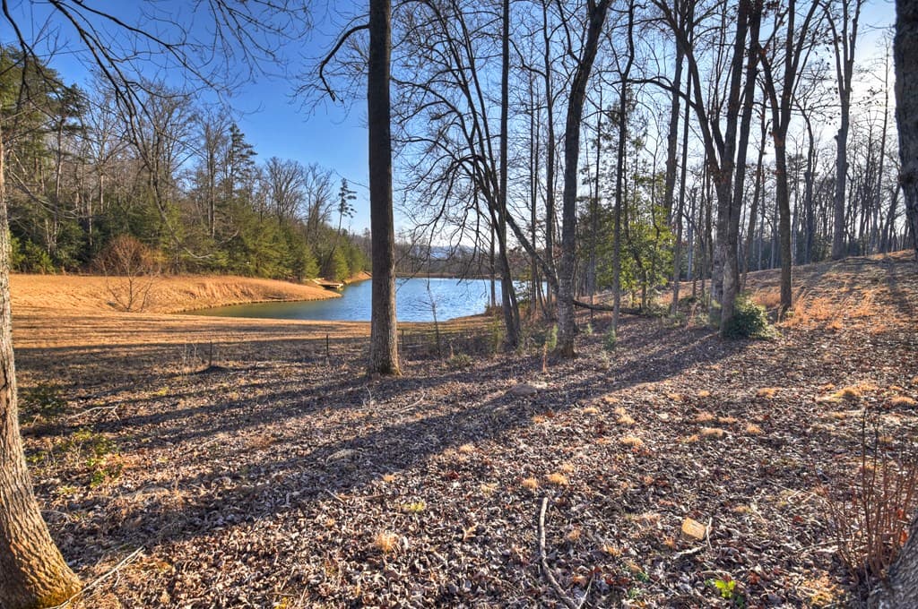 17 Dial Mountain Drive, Blue Ridge GA 30513 - Photo