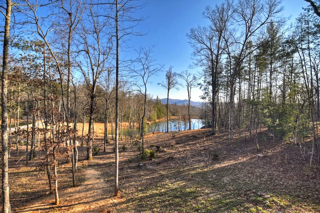 17 Dial Mountain Drive, Blue Ridge GA 30513 - Photo
