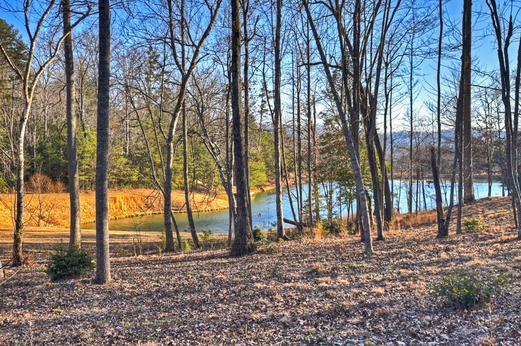 17 Dial Mountain Drive, Blue Ridge GA 30513 - Photo