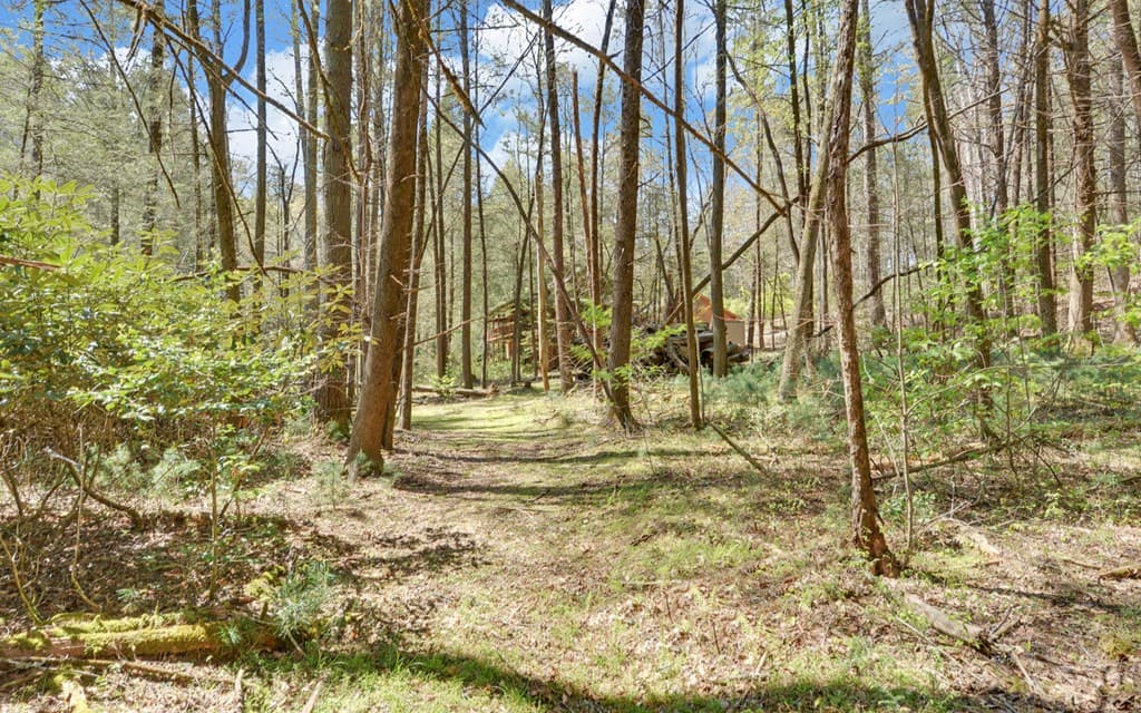 380 Bear Foot Drive, Blue Ridge GA 30513 - Photo