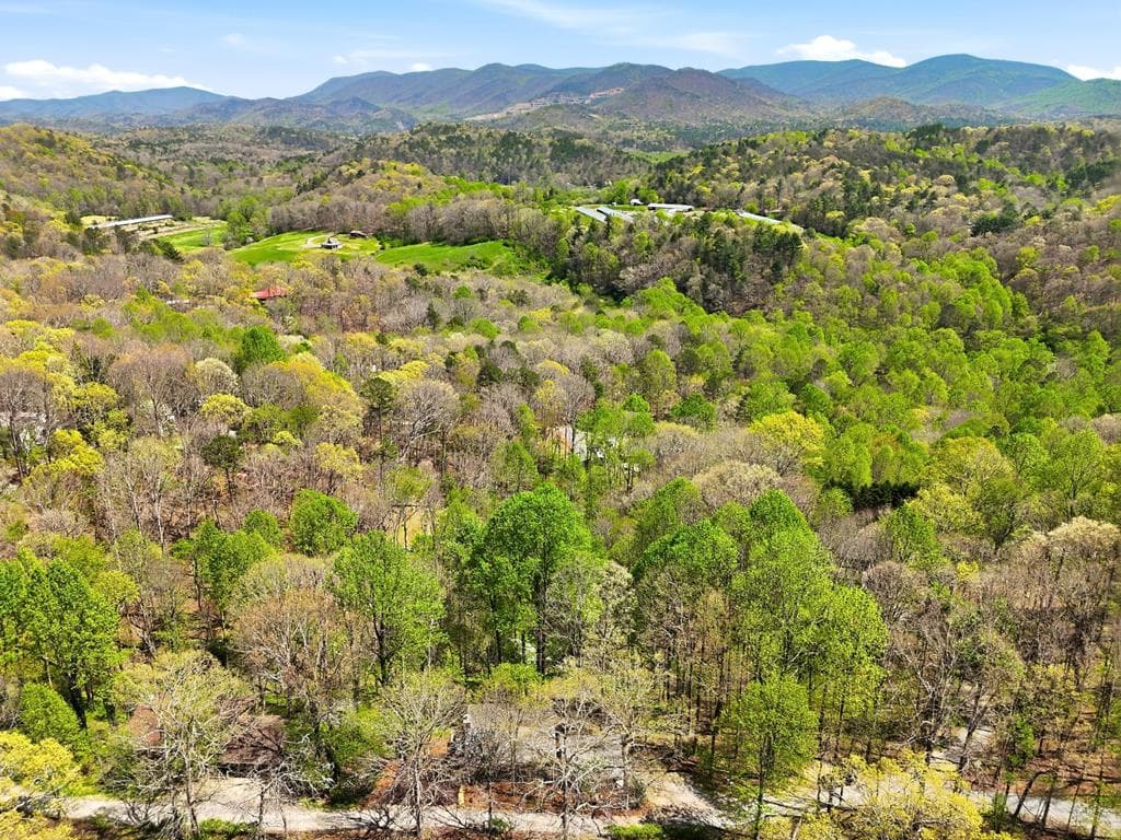 183 Dogwood Court, Ellijay GA 30540 - Photo