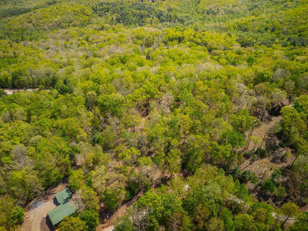 LOT 5 High Country Lane, Morganton GA 30560 - Photo