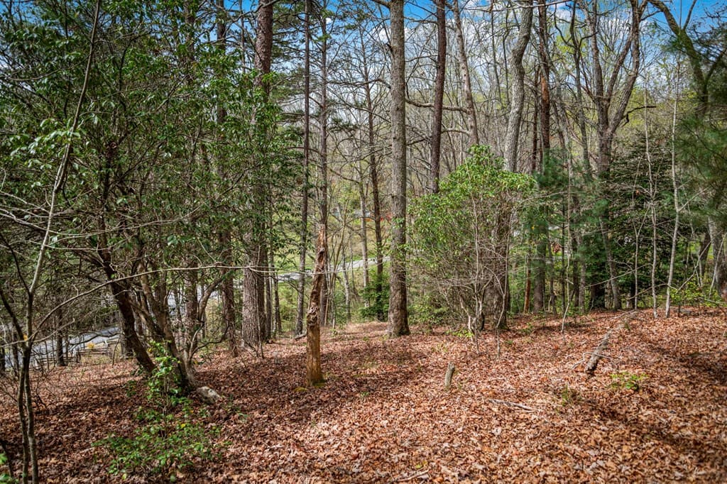 Lot 1 Wolf Creek Estates, Mineral Bluff GA 30559 - Photo