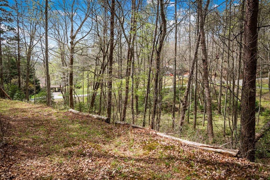 Lot 1 Wolf Creek Estates, Mineral Bluff GA 30559 - Photo