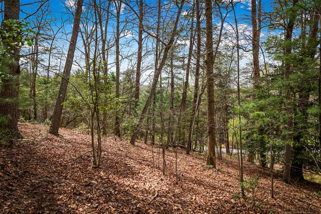 Lot 1 Wolf Creek Estates, Mineral Bluff GA 30559 - Photo