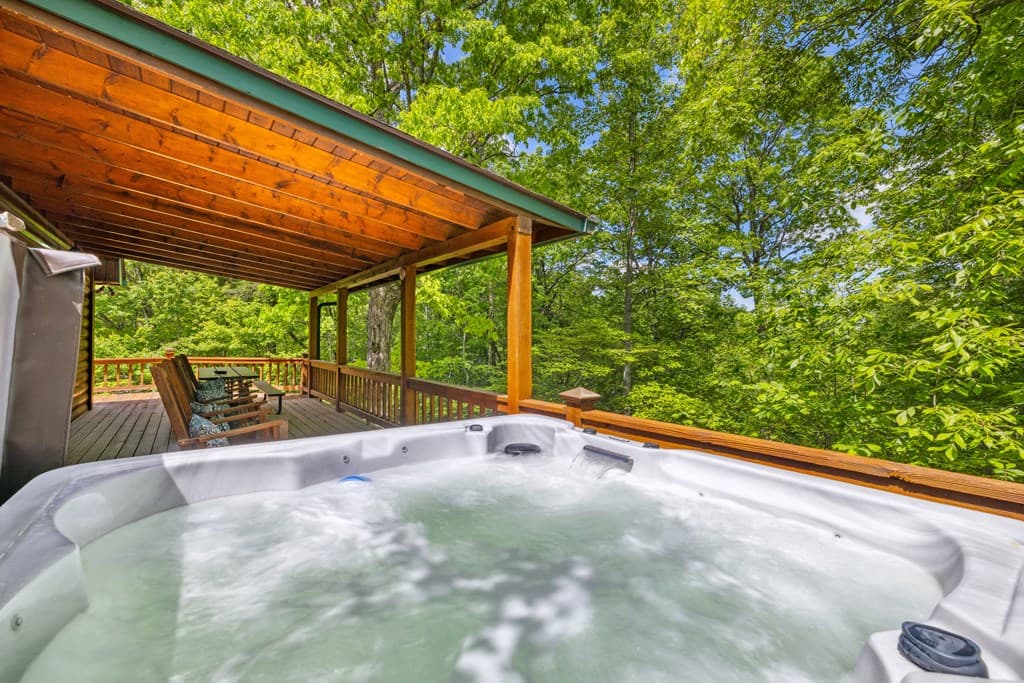 1600 My Mountain Road, Morganton GA 30560 - Photo