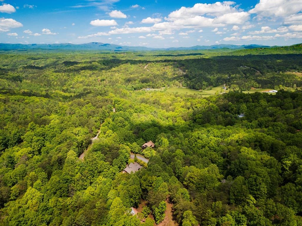 1600 My Mountain Road, Morganton GA 30560 - Photo