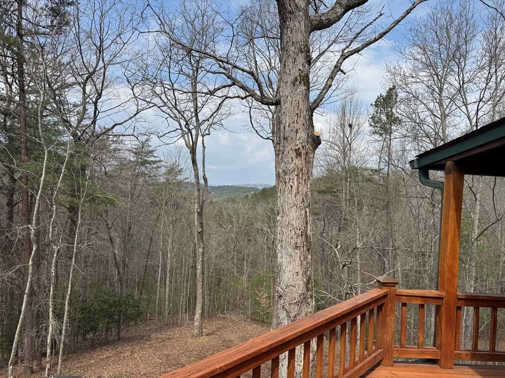 1600 My Mountain Road, Morganton GA 30560 - Photo