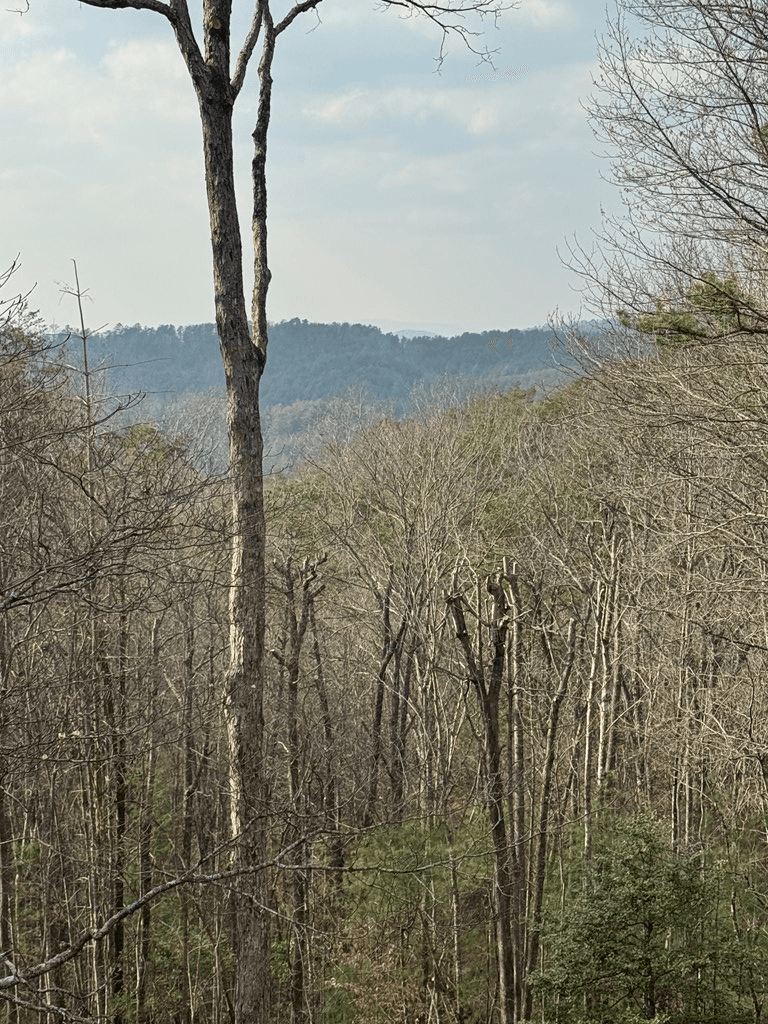 1600 My Mountain Road, Morganton GA 30560 - Photo