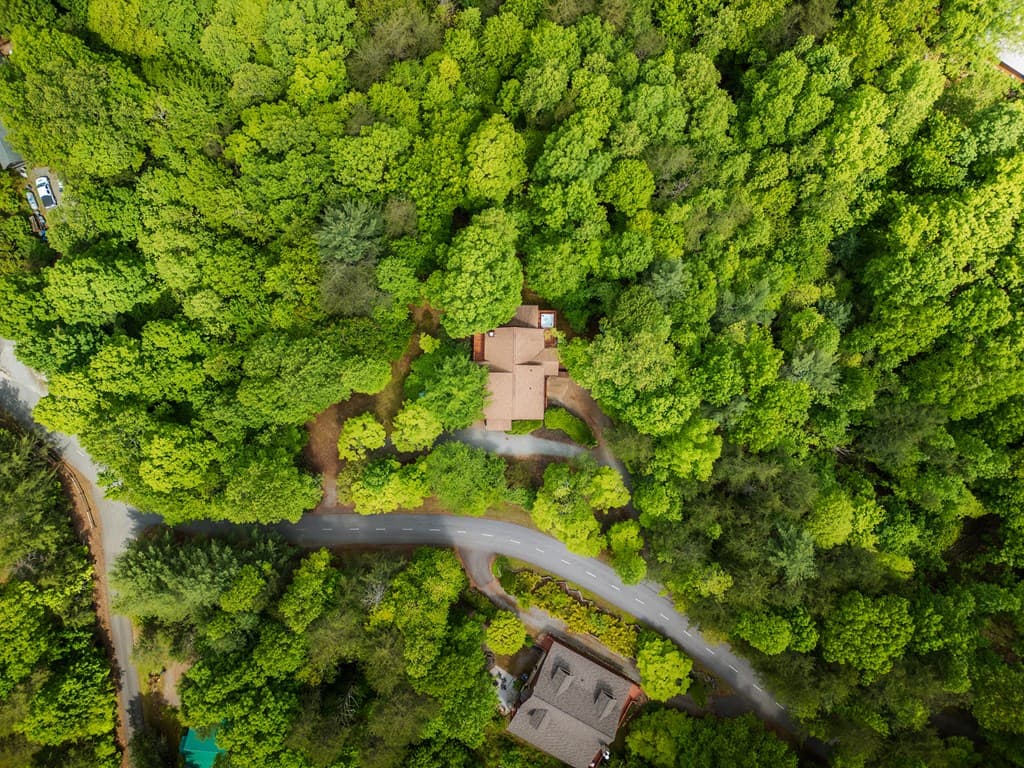 1600 My Mountain Road, Morganton GA 30560 - Photo
