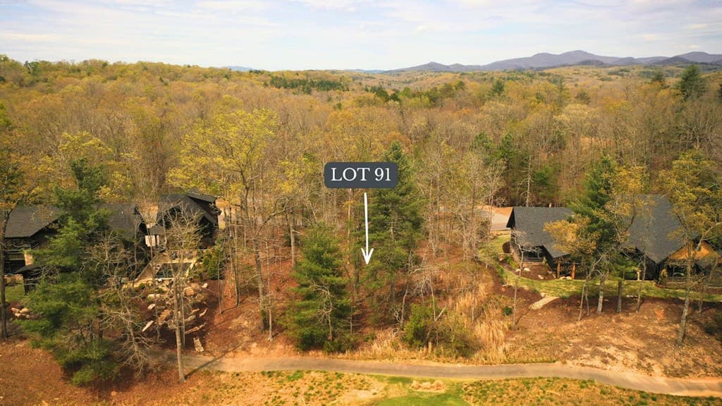 Lot 91 Fallen Leaf Road, Mineral Bluff GA 30559 - Photo