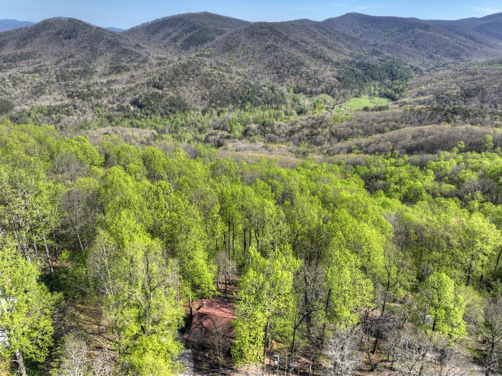 1831 Walnut Ridge, Ellijay GA 30536 - Photo