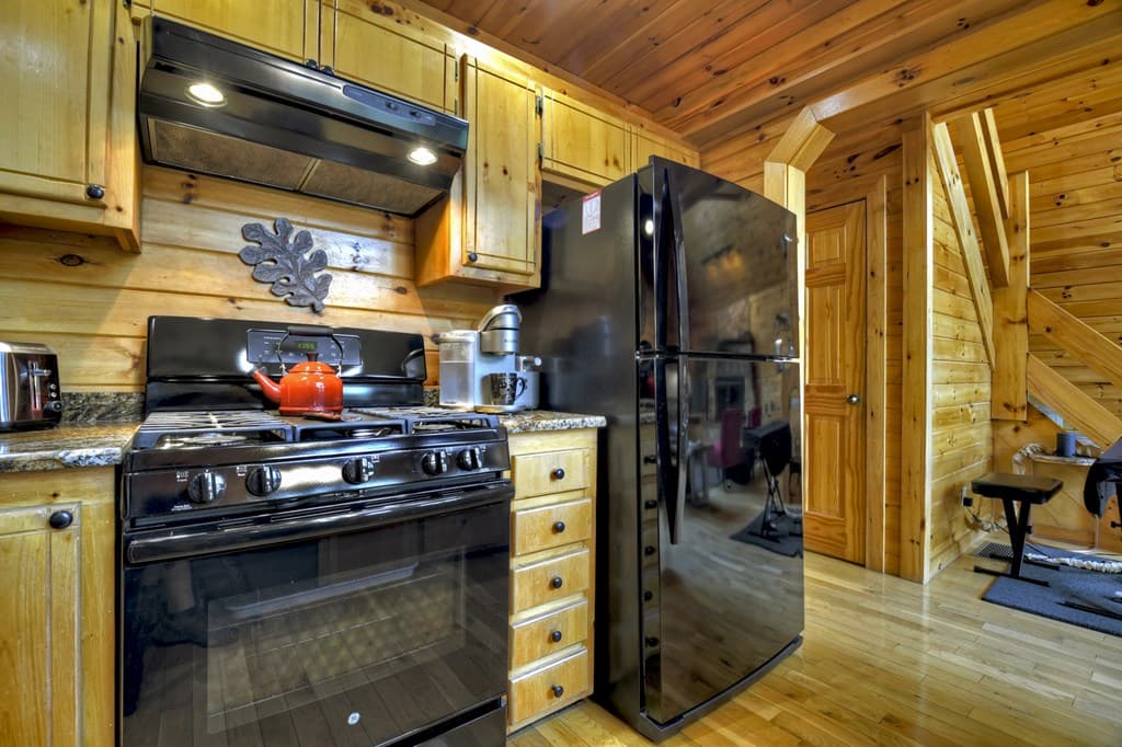 256 Bailey Farm Lane, Mineral Bluff GA 30559 - Photo