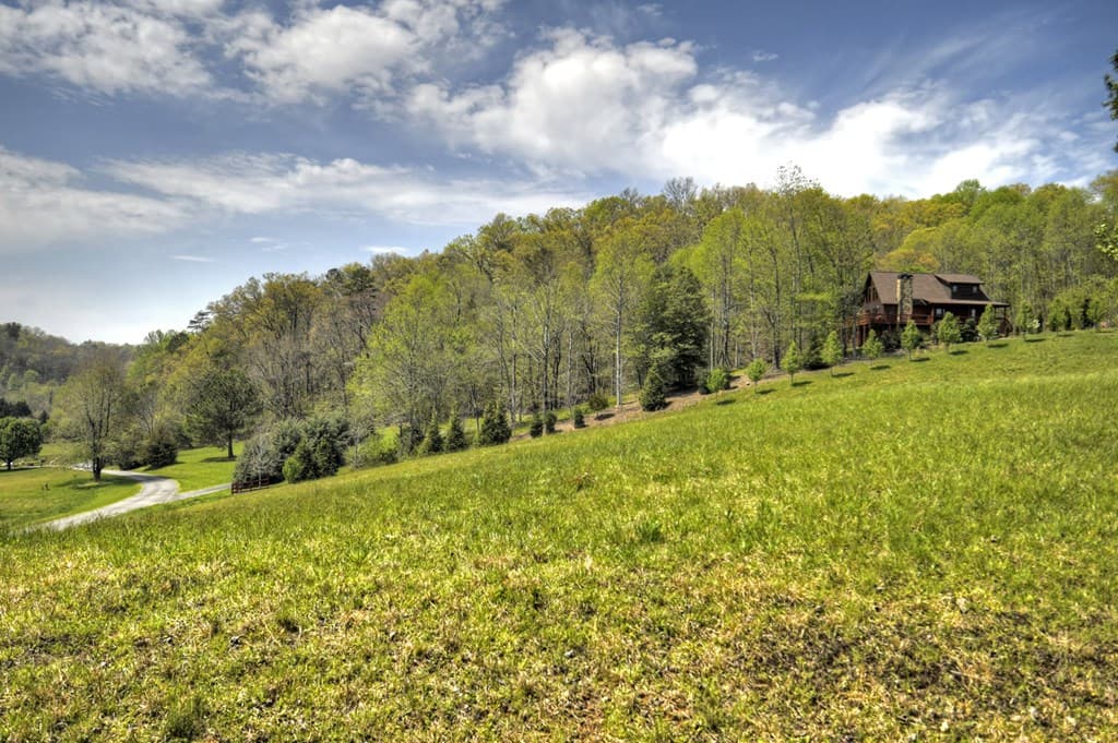 256 Bailey Farm Lane, Mineral Bluff GA 30559 - Photo