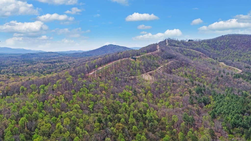 313 Burger Road, Murphy NC 28906 - Photo