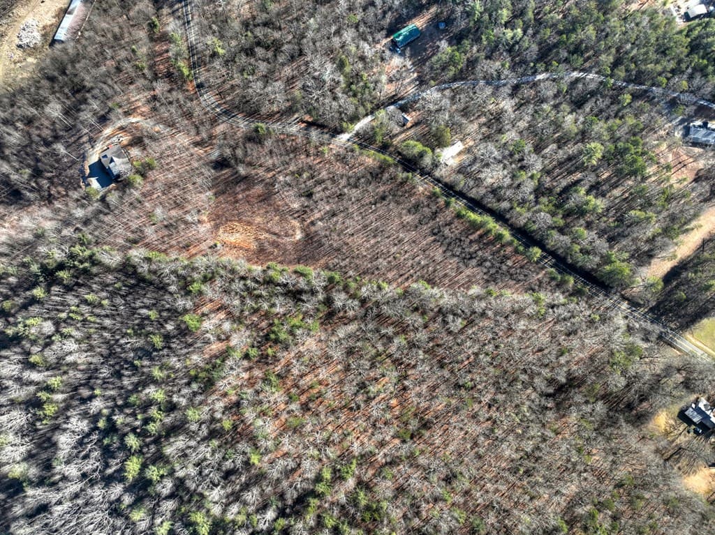 136B Pack Creek, Blue Ridge GA 30513 - Photo
