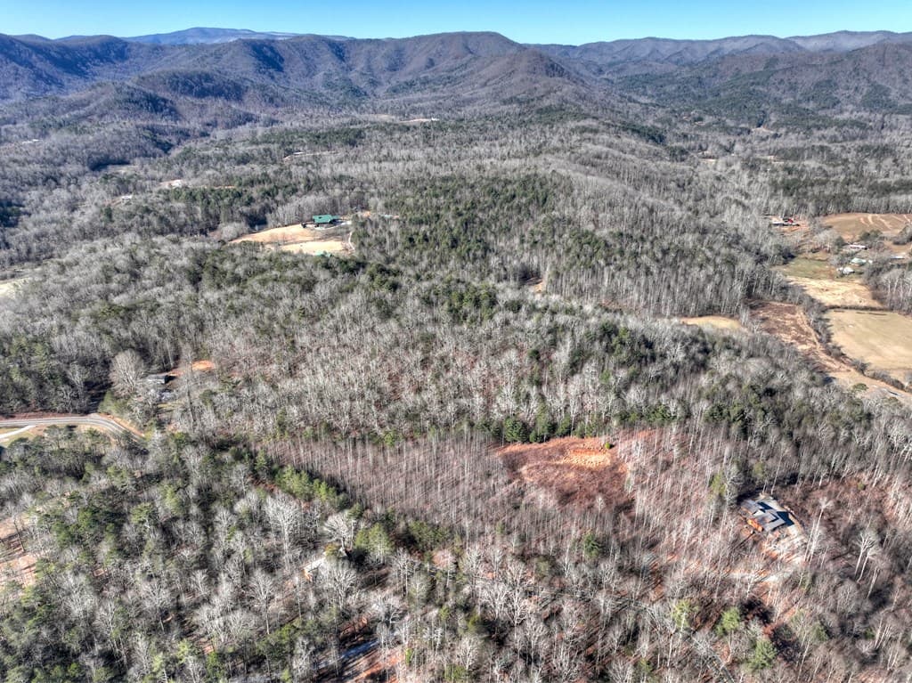 136B Pack Creek, Blue Ridge GA 30513 - Photo