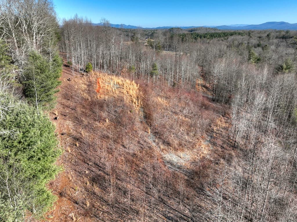 136B Pack Creek, Blue Ridge GA 30513 - Photo