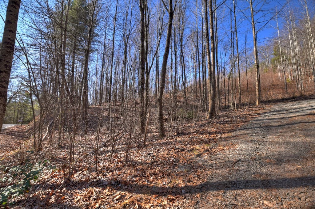 136B Pack Creek, Blue Ridge GA 30513 - Photo