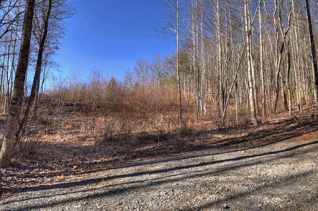 136B Pack Creek, Blue Ridge GA 30513 - Photo