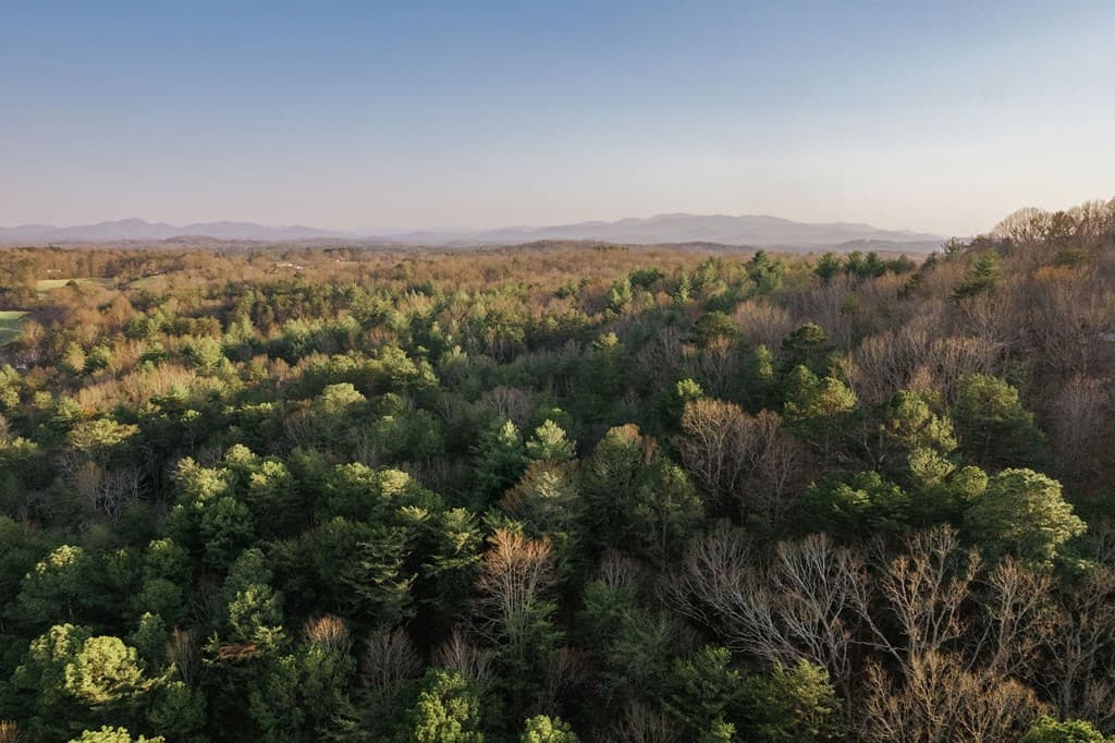 171 Huckleberry Lane, Mineral Bluff GA 30559 - Photo