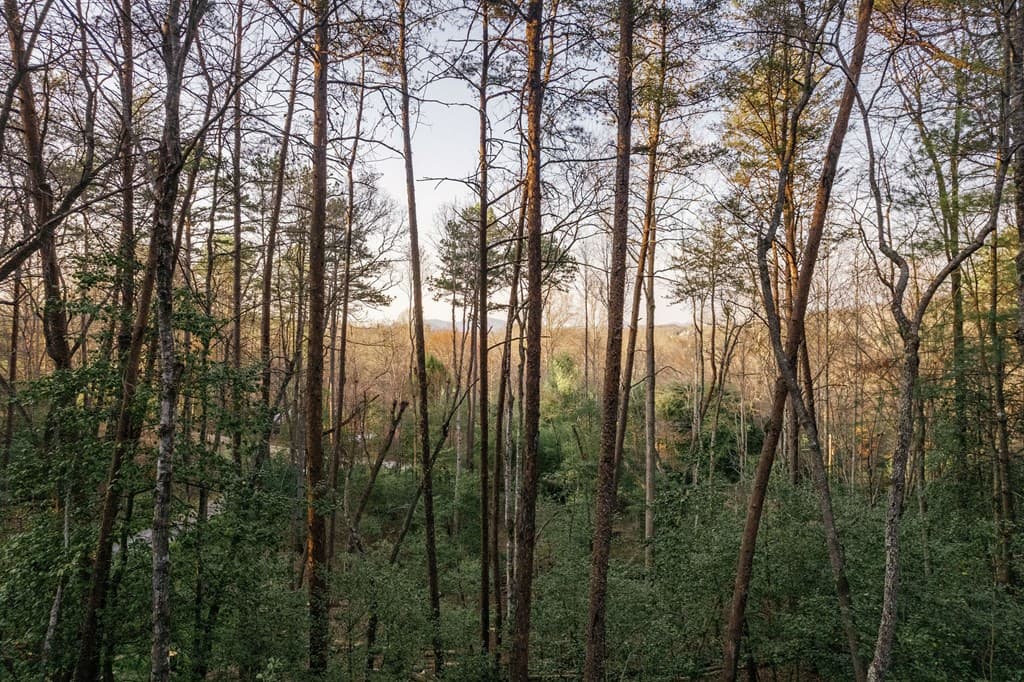 171 Huckleberry Lane, Mineral Bluff GA 30559 - Photo