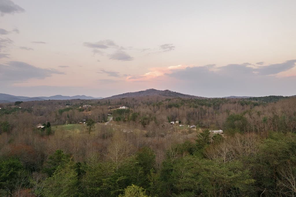 171 Huckleberry Lane, Mineral Bluff GA 30559 - Photo