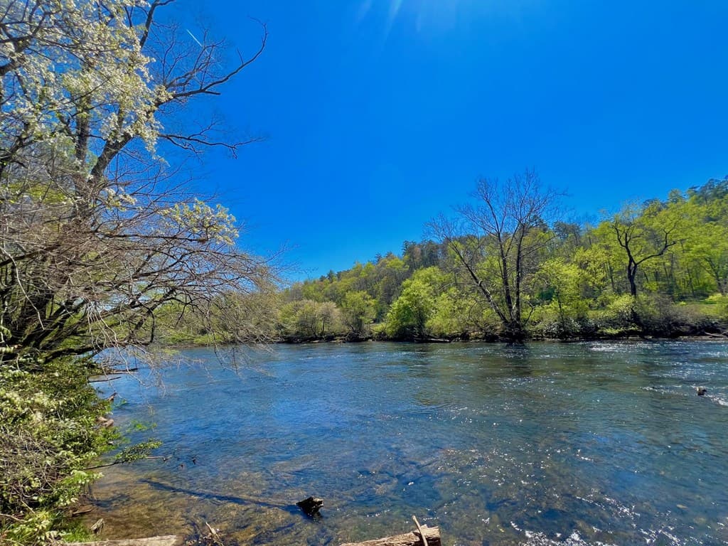 00 Toccoa River Forest, Mineral Bluff GA 30559 - Photo
