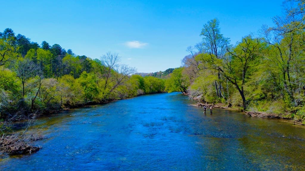 00 Toccoa River Forest, Mineral Bluff GA 30559 - Photo