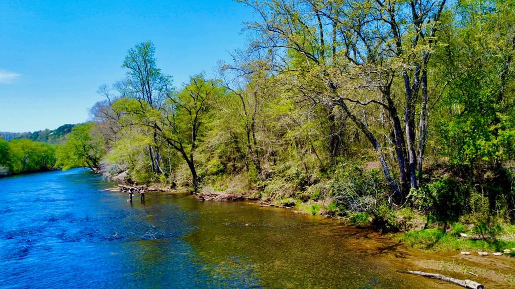 00 Toccoa River Forest, Mineral Bluff GA 30559 - Photo